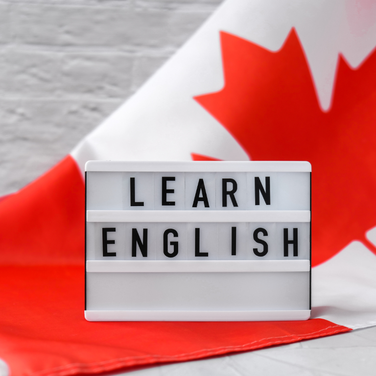 New CourseWeb Development Fundamentals